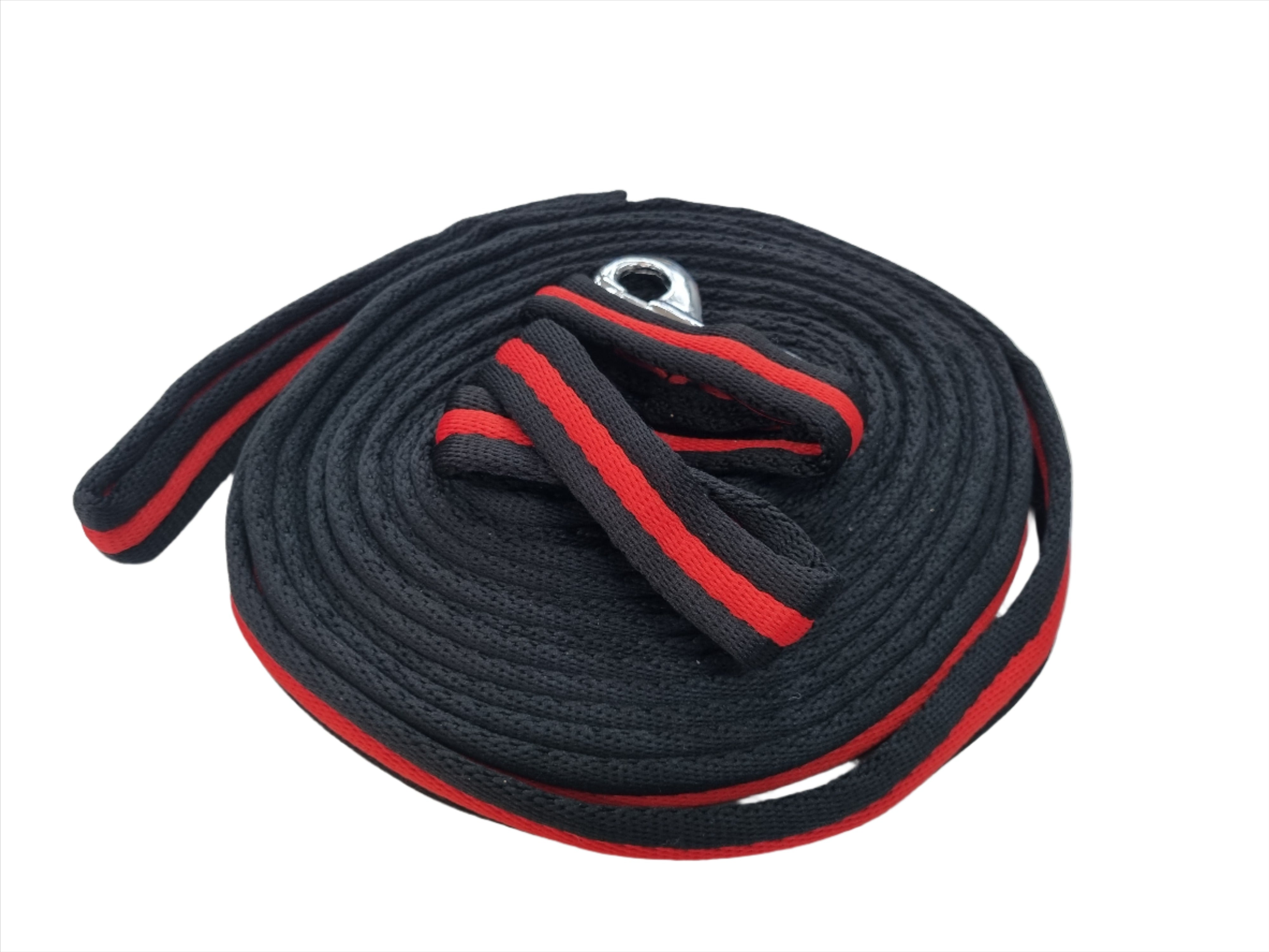 Lunge Lead Web Padded Solo